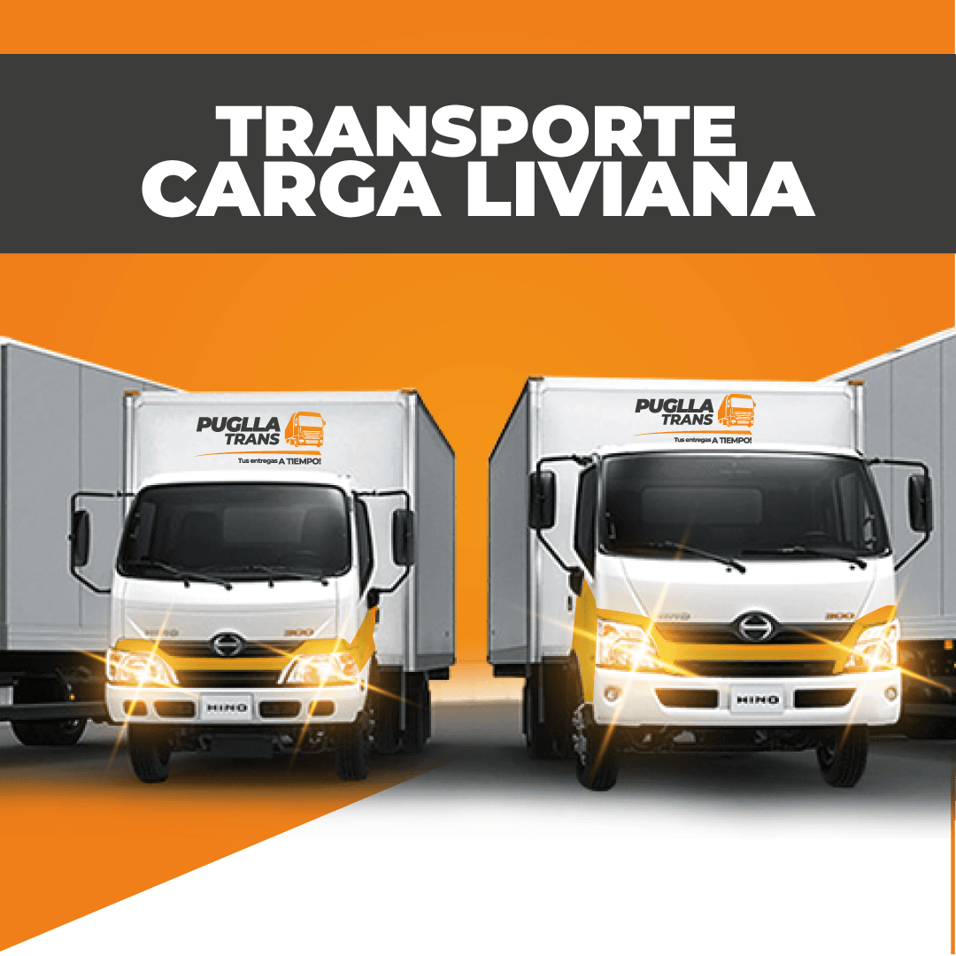 ENCOMIENDAS Y PAQUETERÍA